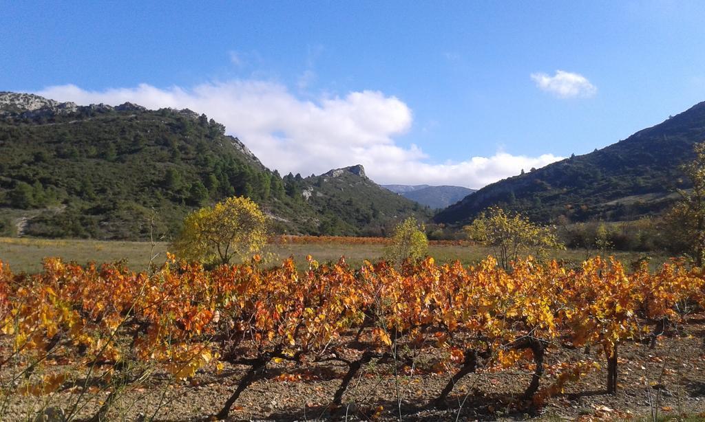 Au Paradis Cathare Fraissé-des-Corbières Εξωτερικό φωτογραφία